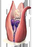 Taimashi Shion / 退魔師紫苑 [Tokumei Hero] [Original] Thumbnail Page 887