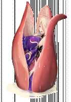 Taimashi Shion / 退魔師紫苑 [Tokumei Hero] [Original] Thumbnail Page 888