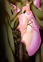 Baikoku Ouki ~Daraku no Mesu Buta Oyako~ / 売国王姫～堕落のメス豚母娘～ [Kazuhiro] [Original] Thumbnail Page 186