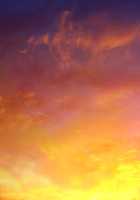 Kuro Gal Bitch ni Shasei Kanri Saremashita? ~Ah shi ni Ironna Kakkou Sasete Koufun Suru to ka Kimo Indesu Kedo~ / 黒ギャルビッチに射精管理されました? ~あーしにいろんな格好させて興奮するとかキモいんですけど~ [Satou Takumi] [Original] Thumbnail Page 100