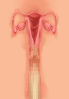 Princess Figline no Yuuga na Sakusei Life ~Uchidome Nante Yurusanai Wa Yo~ / 魔界プリンセスフィリーネの優雅な搾精ライフ～打ち止めなんて許さないわよ～ [Louis And Visee] [Original] Thumbnail Page 101