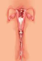 Princess Figline no Yuuga na Sakusei Life ~Uchidome Nante Yurusanai Wa Yo~ / 魔界プリンセスフィリーネの優雅な搾精ライフ～打ち止めなんて許さないわよ～ [Louis And Visee] [Original] Thumbnail Page 103