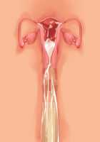 Princess Figline no Yuuga na Sakusei Life ~Uchidome Nante Yurusanai Wa Yo~ / 魔界プリンセスフィリーネの優雅な搾精ライフ～打ち止めなんて許さないわよ～ [Louis And Visee] [Original] Thumbnail Page 104