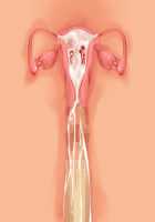 Princess Figline no Yuuga na Sakusei Life ~Uchidome Nante Yurusanai Wa Yo~ / 魔界プリンセスフィリーネの優雅な搾精ライフ～打ち止めなんて許さないわよ～ [Louis And Visee] [Original] Thumbnail Page 105