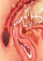 Princess Figline no Yuuga na Sakusei Life ~Uchidome Nante Yurusanai Wa Yo~ / 魔界プリンセスフィリーネの優雅な搾精ライフ～打ち止めなんて許さないわよ～ [Louis And Visee] [Original] Thumbnail Page 109