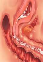 Princess Figline no Yuuga na Sakusei Life ~Uchidome Nante Yurusanai Wa Yo~ / 魔界プリンセスフィリーネの優雅な搾精ライフ～打ち止めなんて許さないわよ～ [Louis And Visee] [Original] Thumbnail Page 113