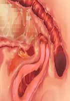 Princess Figline no Yuuga na Sakusei Life ~Uchidome Nante Yurusanai Wa Yo~ / 魔界プリンセスフィリーネの優雅な搾精ライフ～打ち止めなんて許さないわよ～ [Louis And Visee] [Original] Thumbnail Page 85