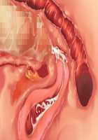 Princess Figline no Yuuga na Sakusei Life ~Uchidome Nante Yurusanai Wa Yo~ / 魔界プリンセスフィリーネの優雅な搾精ライフ～打ち止めなんて許さないわよ～ [Louis And Visee] [Original] Thumbnail Page 86