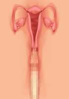 Princess Figline no Yuuga na Sakusei Life ~Uchidome Nante Yurusanai Wa Yo~ / 魔界プリンセスフィリーネの優雅な搾精ライフ～打ち止めなんて許さないわよ～ [Louis And Visee] [Original] Thumbnail Page 96