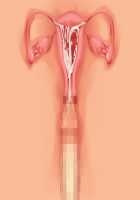 Princess Figline no Yuuga na Sakusei Life ~Uchidome Nante Yurusanai Wa Yo~ / 魔界プリンセスフィリーネの優雅な搾精ライフ～打ち止めなんて許さないわよ～ [Louis And Visee] [Original] Thumbnail Page 97