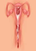 Princess Figline no Yuuga na Sakusei Life ~Uchidome Nante Yurusanai Wa Yo~ / 魔界プリンセスフィリーネの優雅な搾精ライフ～打ち止めなんて許さないわよ～ [Louis And Visee] [Original] Thumbnail Page 98