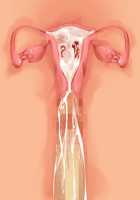 Cool de M na Kaichou to Kageki na Ama Icha Kozukuri Gakuen Seikatsu / クールでMな会長と過激な甘イチャ子作り学園性活 [Saxasa] [Original] Thumbnail Page 108