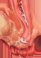 Cool de M na Kaichou to Kageki na Ama Icha Kozukuri Gakuen Seikatsu / クールでMな会長と過激な甘イチャ子作り学園性活 [Saxasa] [Original] Thumbnail Page 124