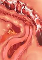 Cool de M na Kaichou to Kageki na Ama Icha Kozukuri Gakuen Seikatsu / クールでMな会長と過激な甘イチャ子作り学園性活 [Saxasa] [Original] Thumbnail Page 141