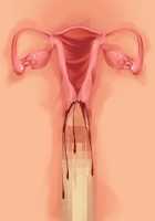 Cool de M na Kaichou to Kageki na Ama Icha Kozukuri Gakuen Seikatsu / クールでMな会長と過激な甘イチャ子作り学園性活 [Saxasa] [Original] Thumbnail Page 147