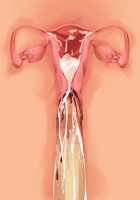 Cool de M na Kaichou to Kageki na Ama Icha Kozukuri Gakuen Seikatsu / クールでMな会長と過激な甘イチャ子作り学園性活 [Saxasa] [Original] Thumbnail Page 150