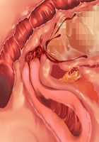 Cool de M na Kaichou to Kageki na Ama Icha Kozukuri Gakuen Seikatsu / クールでMな会長と過激な甘イチャ子作り学園性活 [Saxasa] [Original] Thumbnail Page 152