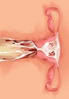 Cool de M na Kaichou to Kageki na Ama Icha Kozukuri Gakuen Seikatsu / クールでMな会長と過激な甘イチャ子作り学園性活 [Saxasa] [Original] Thumbnail Page 181