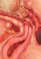 Owakare Video Letter ～ Onii-chan Yamete! Saiai no Kanojo ga Nikuzuma ni naru Shunkan ga Anime de Ugoku! ～ / お別れビデオレター～お義兄ちゃんやめて!最愛の彼女が肉嫁になる瞬間がアニメで動く!～ [Original] Thumbnail Page 107