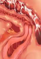 Owakare Video Letter ～ Onii-chan Yamete! Saiai no Kanojo ga Nikuzuma ni naru Shunkan ga Anime de Ugoku! ～ / お別れビデオレター～お義兄ちゃんやめて!最愛の彼女が肉嫁になる瞬間がアニメで動く!～ [Original] Thumbnail Page 109