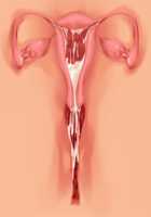 Owakare Video Letter ～ Onii-chan Yamete! Saiai no Kanojo ga Nikuzuma ni naru Shunkan ga Anime de Ugoku! ～ / お別れビデオレター～お義兄ちゃんやめて!最愛の彼女が肉嫁になる瞬間がアニメで動く!～ [Original] Thumbnail Page 112