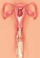 Owakare Video Letter ～ Onii-chan Yamete! Saiai no Kanojo ga Nikuzuma ni naru Shunkan ga Anime de Ugoku! ～ / お別れビデオレター～お義兄ちゃんやめて!最愛の彼女が肉嫁になる瞬間がアニメで動く!～ [Original] Thumbnail Page 113