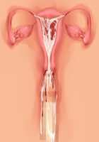 Owakare Video Letter ～ Onii-chan Yamete! Saiai no Kanojo ga Nikuzuma ni naru Shunkan ga Anime de Ugoku! ～ / お別れビデオレター～お義兄ちゃんやめて!最愛の彼女が肉嫁になる瞬間がアニメで動く!～ [Original] Thumbnail Page 114