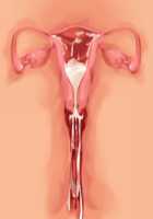 Owakare Video Letter ～ Onii-chan Yamete! Saiai no Kanojo ga Nikuzuma ni naru Shunkan ga Anime de Ugoku! ～ / お別れビデオレター～お義兄ちゃんやめて!最愛の彼女が肉嫁になる瞬間がアニメで動く!～ [Original] Thumbnail Page 117