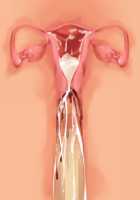 Owakare Video Letter ～ Onii-chan Yamete! Saiai no Kanojo ga Nikuzuma ni naru Shunkan ga Anime de Ugoku! ～ / お別れビデオレター～お義兄ちゃんやめて!最愛の彼女が肉嫁になる瞬間がアニメで動く!～ [Original] Thumbnail Page 118