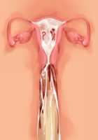 Owakare Video Letter ～ Onii-chan Yamete! Saiai no Kanojo ga Nikuzuma ni naru Shunkan ga Anime de Ugoku! ～ / お別れビデオレター～お義兄ちゃんやめて!最愛の彼女が肉嫁になる瞬間がアニメで動く!～ [Original] Thumbnail Page 119