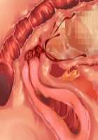 Owakare Video Letter ～ Onii-chan Yamete! Saiai no Kanojo ga Nikuzuma ni naru Shunkan ga Anime de Ugoku! ～ / お別れビデオレター～お義兄ちゃんやめて!最愛の彼女が肉嫁になる瞬間がアニメで動く!～ [Original] Thumbnail Page 120