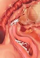 Owakare Video Letter ～ Onii-chan Yamete! Saiai no Kanojo ga Nikuzuma ni naru Shunkan ga Anime de Ugoku! ～ / お別れビデオレター～お義兄ちゃんやめて!最愛の彼女が肉嫁になる瞬間がアニメで動く!～ [Original] Thumbnail Page 121