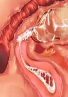 Owakare Video Letter ～ Onii-chan Yamete! Saiai no Kanojo ga Nikuzuma ni naru Shunkan ga Anime de Ugoku! ～ / お別れビデオレター～お義兄ちゃんやめて!最愛の彼女が肉嫁になる瞬間がアニメで動く!～ [Original] Thumbnail Page 124