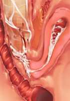 Owakare Video Letter ～ Onii-chan Yamete! Saiai no Kanojo ga Nikuzuma ni naru Shunkan ga Anime de Ugoku! ～ / お別れビデオレター～お義兄ちゃんやめて!最愛の彼女が肉嫁になる瞬間がアニメで動く!～ [Original] Thumbnail Page 134