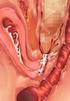 Owakare Video Letter ～ Onii-chan Yamete! Saiai no Kanojo ga Nikuzuma ni naru Shunkan ga Anime de Ugoku! ～ / お別れビデオレター～お義兄ちゃんやめて!最愛の彼女が肉嫁になる瞬間がアニメで動く!～ [Original] Thumbnail Page 136