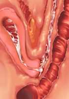 Owakare Video Letter ～ Onii-chan Yamete! Saiai no Kanojo ga Nikuzuma ni naru Shunkan ga Anime de Ugoku! ～ / お別れビデオレター～お義兄ちゃんやめて!最愛の彼女が肉嫁になる瞬間がアニメで動く!～ [Original] Thumbnail Page 137