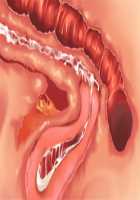 Owakare Video Letter ～ Onii-chan Yamete! Saiai no Kanojo ga Nikuzuma ni naru Shunkan ga Anime de Ugoku! ～ / お別れビデオレター～お義兄ちゃんやめて!最愛の彼女が肉嫁になる瞬間がアニメで動く!～ [Original] Thumbnail Page 40