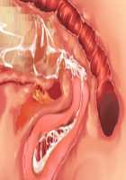 Owakare Video Letter ～ Onii-chan Yamete! Saiai no Kanojo ga Nikuzuma ni naru Shunkan ga Anime de Ugoku! ～ / お別れビデオレター～お義兄ちゃんやめて!最愛の彼女が肉嫁になる瞬間がアニメで動く!～ [Original] Thumbnail Page 42