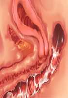 Owakare Video Letter ～ Onii-chan Yamete! Saiai no Kanojo ga Nikuzuma ni naru Shunkan ga Anime de Ugoku! ～ / お別れビデオレター～お義兄ちゃんやめて!最愛の彼女が肉嫁になる瞬間がアニメで動く!～ [Original] Thumbnail Page 45