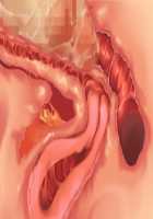 Owakare Video Letter ～ Onii-chan Yamete! Saiai no Kanojo ga Nikuzuma ni naru Shunkan ga Anime de Ugoku! ～ / お別れビデオレター～お義兄ちゃんやめて!最愛の彼女が肉嫁になる瞬間がアニメで動く!～ [Original] Thumbnail Page 46