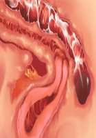 Owakare Video Letter ～ Onii-chan Yamete! Saiai no Kanojo ga Nikuzuma ni naru Shunkan ga Anime de Ugoku! ～ / お別れビデオレター～お義兄ちゃんやめて!最愛の彼女が肉嫁になる瞬間がアニメで動く!～ [Original] Thumbnail Page 48