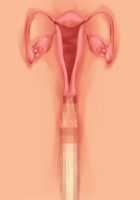 Owakare Video Letter ～ Onii-chan Yamete! Saiai no Kanojo ga Nikuzuma ni naru Shunkan ga Anime de Ugoku! ～ / お別れビデオレター～お義兄ちゃんやめて!最愛の彼女が肉嫁になる瞬間がアニメで動く!～ [Original] Thumbnail Page 49