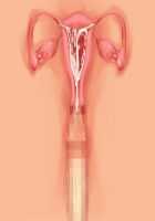 Owakare Video Letter ～ Onii-chan Yamete! Saiai no Kanojo ga Nikuzuma ni naru Shunkan ga Anime de Ugoku! ～ / お別れビデオレター～お義兄ちゃんやめて!最愛の彼女が肉嫁になる瞬間がアニメで動く!～ [Original] Thumbnail Page 50