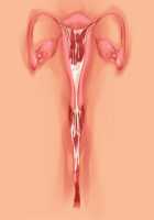 Owakare Video Letter ～ Onii-chan Yamete! Saiai no Kanojo ga Nikuzuma ni naru Shunkan ga Anime de Ugoku! ～ / お別れビデオレター～お義兄ちゃんやめて!最愛の彼女が肉嫁になる瞬間がアニメで動く!～ [Original] Thumbnail Page 51