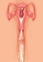 Owakare Video Letter ～ Onii-chan Yamete! Saiai no Kanojo ga Nikuzuma ni naru Shunkan ga Anime de Ugoku! ～ / お別れビデオレター～お義兄ちゃんやめて!最愛の彼女が肉嫁になる瞬間がアニメで動く!～ [Original] Thumbnail Page 52