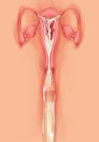 Owakare Video Letter ～ Onii-chan Yamete! Saiai no Kanojo ga Nikuzuma ni naru Shunkan ga Anime de Ugoku! ～ / お別れビデオレター～お義兄ちゃんやめて!最愛の彼女が肉嫁になる瞬間がアニメで動く!～ [Original] Thumbnail Page 53