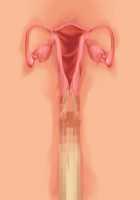 Owakare Video Letter ～ Onii-chan Yamete! Saiai no Kanojo ga Nikuzuma ni naru Shunkan ga Anime de Ugoku! ～ / お別れビデオレター～お義兄ちゃんやめて!最愛の彼女が肉嫁になる瞬間がアニメで動く!～ [Original] Thumbnail Page 54