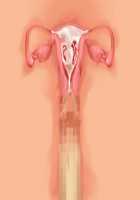 Owakare Video Letter ～ Onii-chan Yamete! Saiai no Kanojo ga Nikuzuma ni naru Shunkan ga Anime de Ugoku! ～ / お別れビデオレター～お義兄ちゃんやめて!最愛の彼女が肉嫁になる瞬間がアニメで動く!～ [Original] Thumbnail Page 55