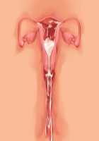 Owakare Video Letter ～ Onii-chan Yamete! Saiai no Kanojo ga Nikuzuma ni naru Shunkan ga Anime de Ugoku! ～ / お別れビデオレター～お義兄ちゃんやめて!最愛の彼女が肉嫁になる瞬間がアニメで動く!～ [Original] Thumbnail Page 56