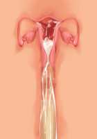 Owakare Video Letter ～ Onii-chan Yamete! Saiai no Kanojo ga Nikuzuma ni naru Shunkan ga Anime de Ugoku! ～ / お別れビデオレター～お義兄ちゃんやめて!最愛の彼女が肉嫁になる瞬間がアニメで動く!～ [Original] Thumbnail Page 57